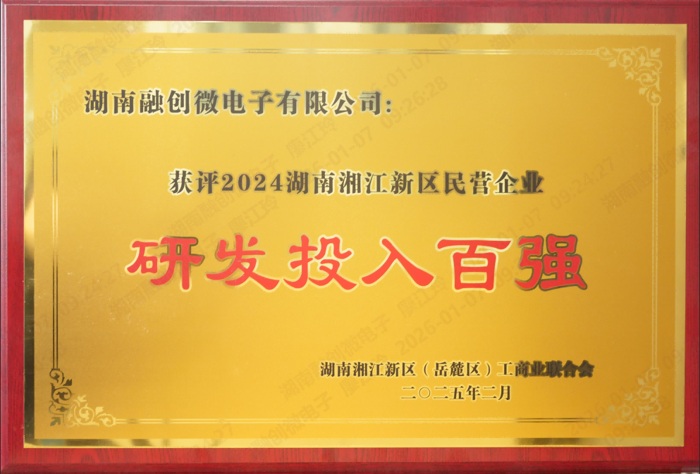 2024年研发投入百强