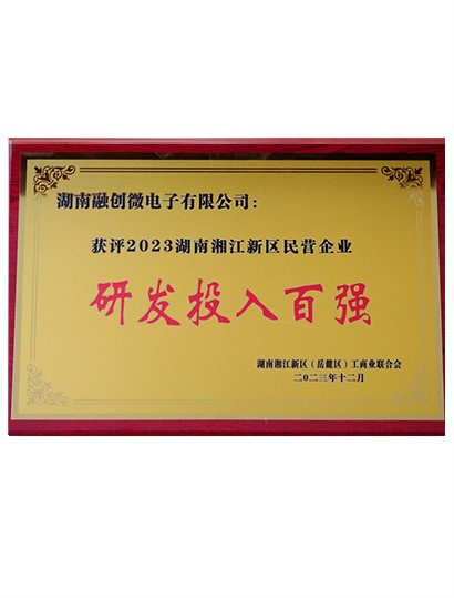 2023年研发投入百强