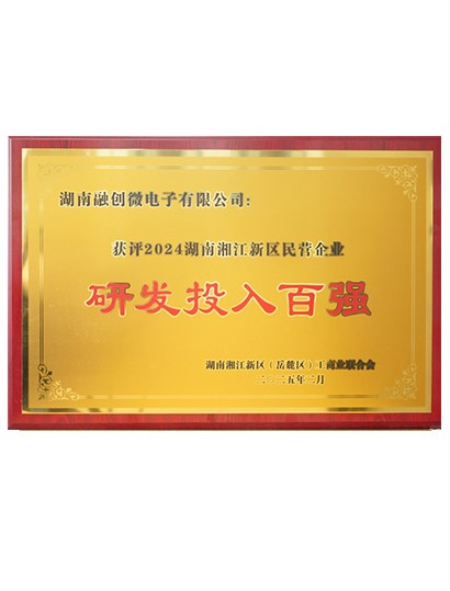 2024年度研发投入百强